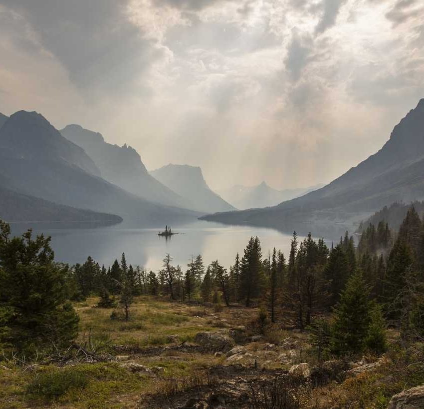 Tyrone's Pro Basketball Highlights